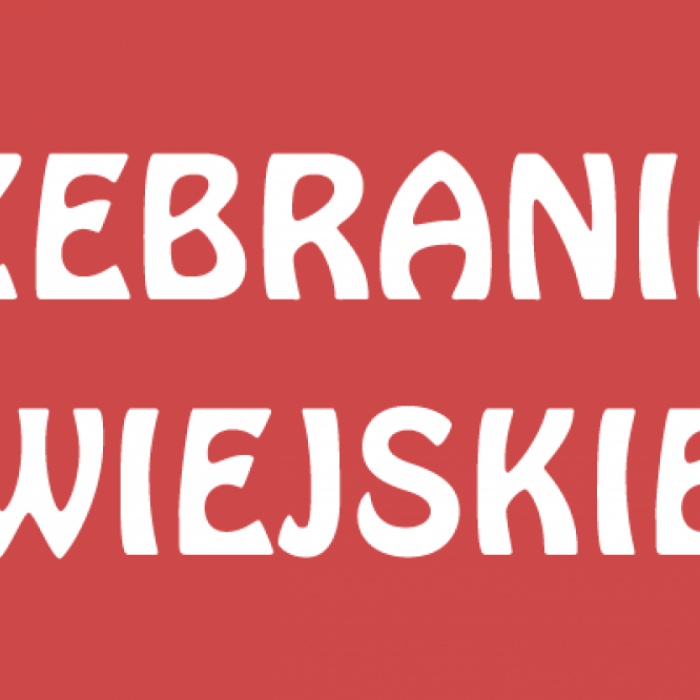 zebranie wiejskie Rudki