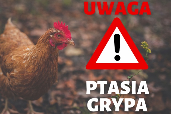 Komunikat Ptasia Grypa