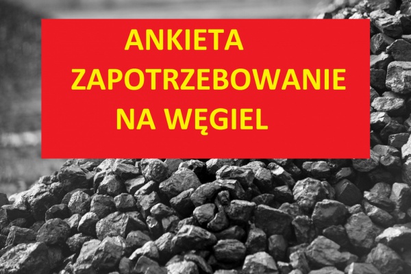 ankieta