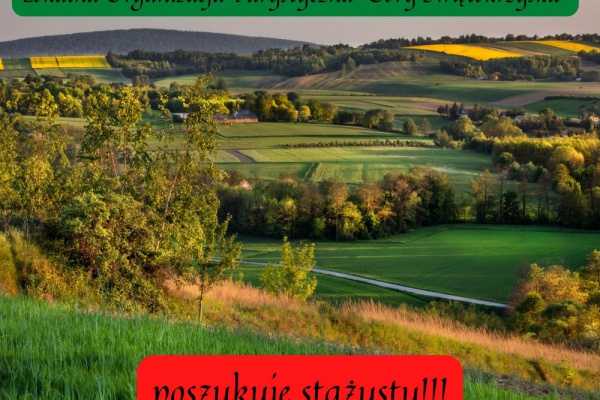 LOT poszukuje stażysty