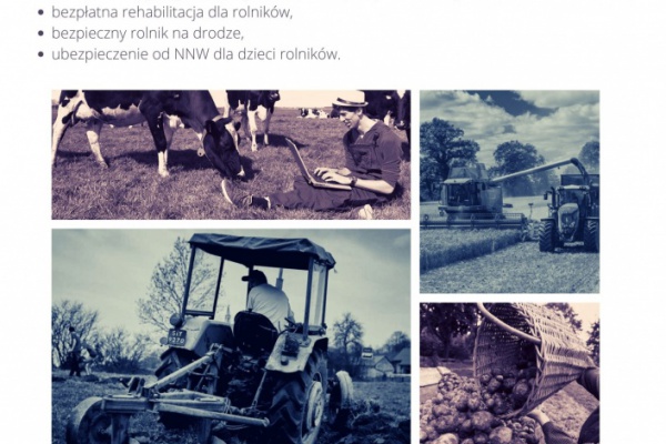 Bezpłatne szkolenie