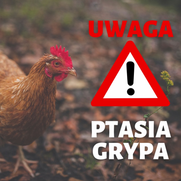 Komunikat Ptasia Grypa