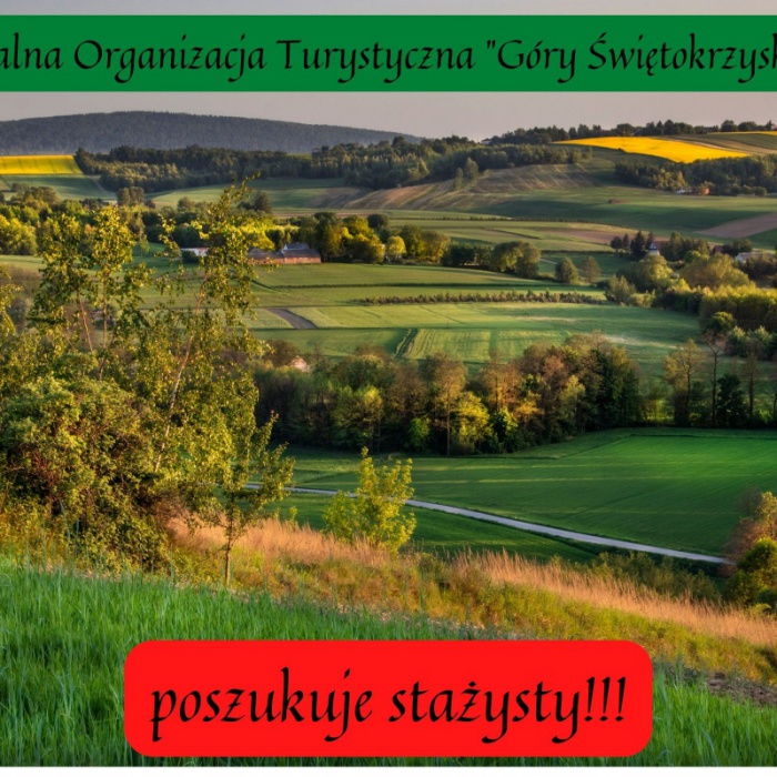 LOT poszukuje stażysty