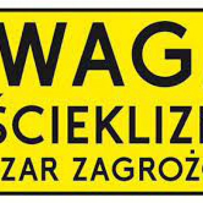 Wścieklizna zwierząt